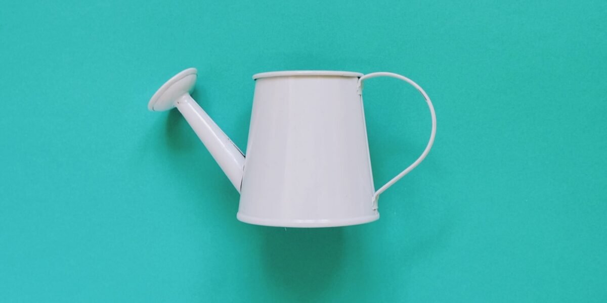 How To Design A Minimalist Garden