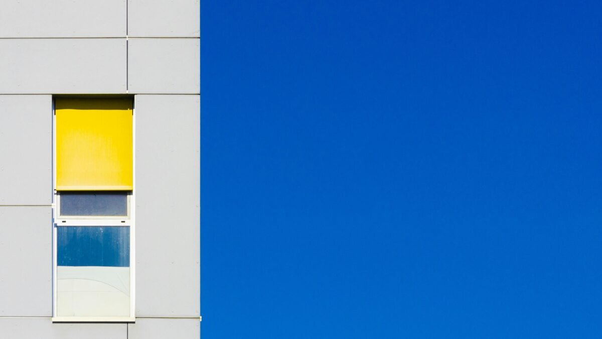 The Power of Color in Photography